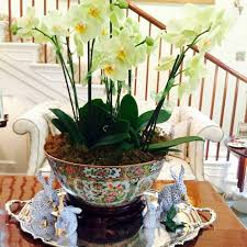 Interior designer, author, and host holly holden introduces herself and her plans for the new classic design channel. 16 Holly Holden Design Ideas Classic Interior Design Classic Interior Design