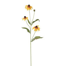 Shop our great selection of decoration items & save. Sullivans Artificial Black Eyed Susan Stem Target