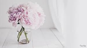 Holen sie sich die neue version von microsoft excel. Flower Wallpaper Peonies Pfingstrosen Wallpaper Rosa Desktop Spring Flowers Wallpaper Pink Peonies Wallpaper Peony Wallpaper