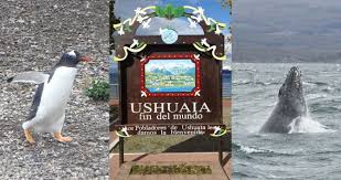Ushuaia. Con pingüinos y ballenas en el fin del mundo (literalmente) - Mi  Aventura Viajando