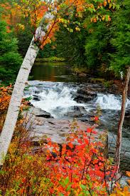 Your latest color update from the...