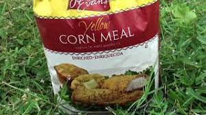 Scary that people put these in their coffee. Fact Or Fiction Corn Meal Or Grits Kills Ants Youtube