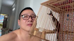 cám khoáng là gì? Tại sao phải dùng cám khoáng? #camthangmeo  #camkhoangthangmeo