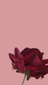 We have 69+ background pictures for you! Girl Power Wallpapers Top Free Girl Power Backgrounds Wallpaperaccess