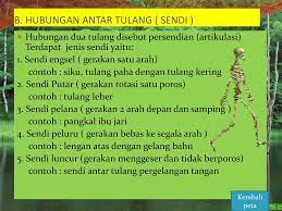 Setelah itu, jantung memompanya agar bisa menjangkau. Rangka Dan Panca Indra Manusia Ppt Download