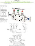 5 Way Manifold Valve and Five way T/ H Type Direct Mount ...