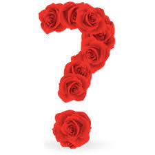 Abecedario Hecho Con Rosas Rojas Red Roses Alphabet Rosas Rojas Imagenes De Letras Rosas