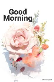 Share the best gifs now >>> 35 Best Good Morning Flowers Images Tailpic