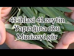 41 Zeytin Yapragina 41 Ihlas Suresi Okuyun Mucizeyi Yasayin Ihlas Suresinin Faziletleri Youtube Ilham Verici Sozler Dualar Pozitiflik