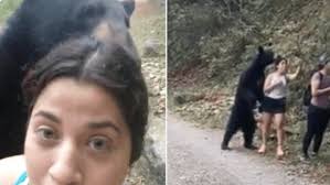 Profepa sigue sin actuar contra responsables por la castración del oso  negro (Ursus americanus) de Nuevo León