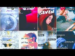 We did not find results for: Wadan New Sinhala Wadan Tik Tok Whatsapp Status Video Sinhala Youtube In 2021 Best Love Songs Love Songs Tik Tok
