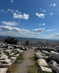 Image result for Thesium pygmaeum