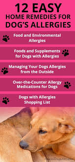 The Ultimate Guide To Home Remedies For Dog Allergies Home Remedies For Allergies Dogs Health Remedies Dog Allergies
