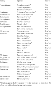 Maybe you would like to learn more about one of these? Fruit Tree Species Used By Spider Monkeys In The Dry And Wet Seasons Download Table