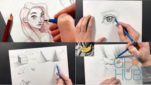 Udemy The Ultimate Drawing Course Beginner To Advanced Cracked.to | best forum around | free premium accounts.