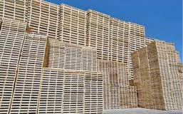 Did you scroll all this way to get facts about zapopan jalisco? Pallets Service De Mexico
