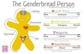 An Introduction To Sex Gender And Gender Identity Revisesociology