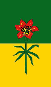 Saskatchewan provincial 3ft x 5ft banner/flag high quality 100% polyester. Vertical Redesign Of The Saskatchewan Flag Vexillology