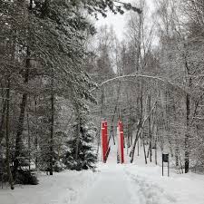 Olga Ray (@olgarayray) • Instagram photos and videos