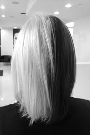 Split Dyed Hair Black And Blonde Male Pin On Half Half Dyed Hair 01