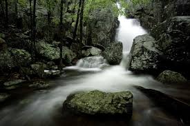 The park is also home to the highest water fall in missouri, mina sauk falls, which drops a total of 132 feet in three distinct drops. Hike Taum Sauk Mountain State Park Missouri Hiking State Parks Missouri State Parks
