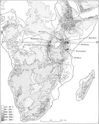 Image result for Oreophyton falcatum