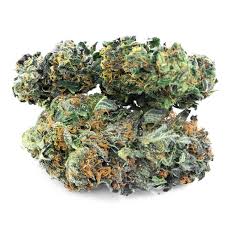 Premium hemp flower for sale. Swiss Cbd Wholesale Cannabis Light Premium Legal Weed Delivery
