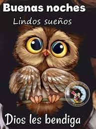 Buenas Noches Ilustraciones De Buho Pinturas De Buho Dibujos Bonitos De Animales