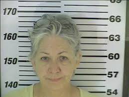 Chatham-Savannah drug agents: Two meth groups dismantled