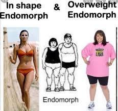 Pin By Cande Edwards On Fitness In 2020 Endomorph Body Type Body Type Workout Mesomorph Body Type