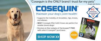 Petco and petsmart have relationships with local shelters and rescues (generally for cats, dogs and sometimes small pets like rabbits); Pet Tinic Petco Captions Lovers