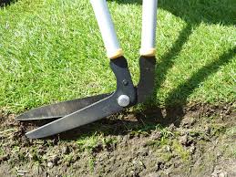 Fiskars design this grass shear for trimming grasses around the flower beds, sidewalks, and trees. 5 Best Topiary Shears For Plants Borders Horticulture Co Uk