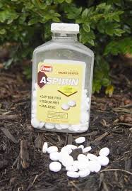 We did not find results for: 9 Diy Homemade Rooting Hormone Ideas Balcony Garden Web