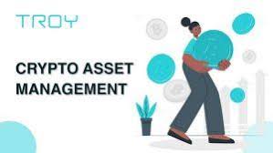 Awoye urges clients to do the proper research and be careful with trying to time the markets with a cryptocurrency investment. Breaking Troy S Automatic Investment Tool For Asset Management
