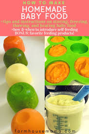 Comment Faire Des Aliments Pour Bebe Maison The Best Of Farmhouse Mama Aliments Bebe Comment De Baby Food Recipes Homemade Baby Foods Baby Food Guide