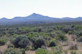 Nice enough to share a piece of the oregon coast with the rest of you. Sagebrush Habitats Oregon Conservation Strategy