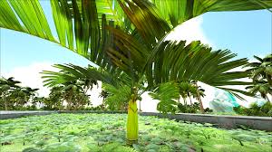 1280 x 720 jpeg 168 кб. Does Anyone Know A Way To Get Rid Of Cut Down These Small Trees On Crystal Isles I Tried Everything Coords 84 49 19 74 Playark