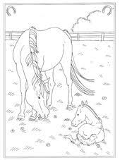 Lees hier meer informatie hierover. 35 Ideeen Over Paarden Kleurplaat Paarden Kleurplaten Paard Knutselen
