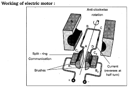 Explain The Working Of Electric Motor With A Neat Diagram
