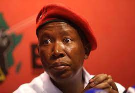 Eff leader julius malema has said that the commission of inquiry into alleged state capture is eff leader julius malema has called for both national and local government elections should be held. Malema Breaks His Silence When A Person Says To Me I Will Kill You I Can T Give Him Roses