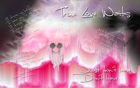 Image result for true love wallpaper