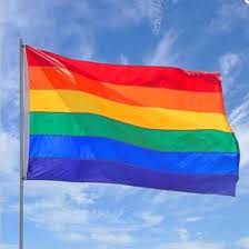 Op zoek naar een regenboog vlag of doek? Bol Com Regenboogvlag Lgbt Gay Pride Regenboog Vlag Grote Homo Lgbtq Rainbow Flag 100