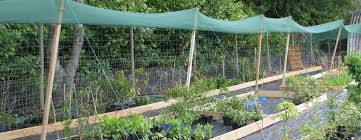 Shade cloth canopies are a great way to protect your garden. 35 Great Shade Gardening Ideas Shade Cloth Garden Guide