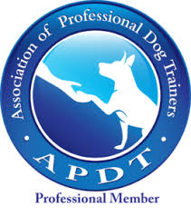 We did not find results for: Certifications Memberships Animal Manners Qualifications
