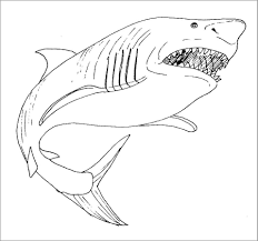 Check spelling or type a new query. Bull Shark Coloring Page For Kids Coloringbay