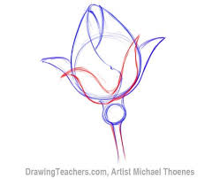 How To Draw A Rosebud Roses Drawing Rose Buds Flower Drawing