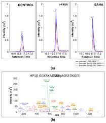 The igg antibody secretory cells (ascs) in small intestine were particularly observed through immumohistochemical staining, then after were analyzed by statistical methods. Cells Free Full Text Dna Damage Changes Distribution Pattern And Levels Of Hp1 Protein Isoforms In The Nucleolus And Increases Phosphorylation Of Hp1b Ser88 Html