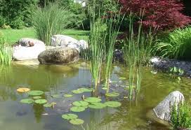 Zauberhafter Gartenteich Mit Sprudelstein Garten Privatgarten Und Gartengestaltung