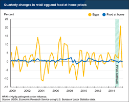 Circumstantial Egg Price Chart 2019