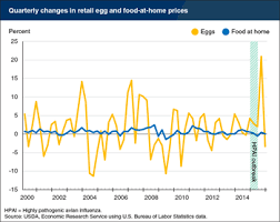 circumstantial egg price chart 2019